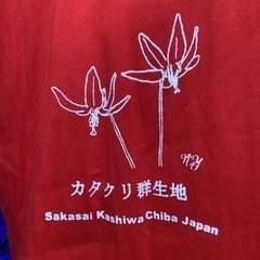 カタクリ群生地　Tシャツの画像