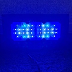 本日限定価格！早い者勝ち！オプティマスリーフナノ2の画像