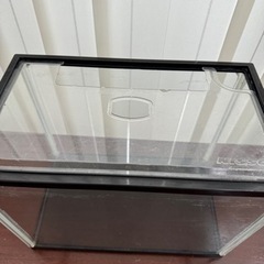アクリル水槽③ 31.5×18.5×24.5の画像