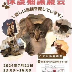 🐾可愛い保護猫譲渡会のお知らせ🐾