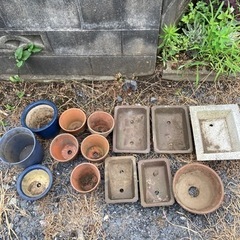 植木鉢の画像