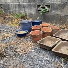 植木鉢の画像