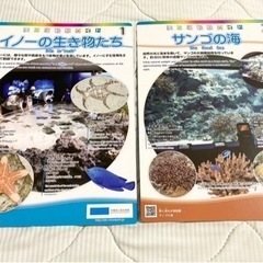 【他お取引無料】美ら海観察ガイド10枚の画像
