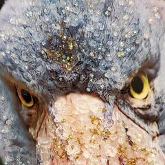 ミキインテリア ■ 引取限定 ■ アウトレット ■ 展示品 ■ アートパネル ■ 鳥 ■ ハシビロコウ ■ インテリアの画像