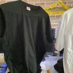 無地Tシャツの画像
