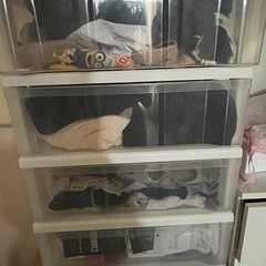 受付終了　8月お引き渡しプラスチックチェスト