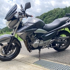 【売約済み】GSR250 250cc 実働 ベース車両の画像