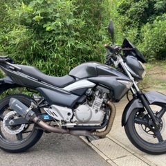 【売約済み】GSR250 250cc 実働 ベース車両の画像
