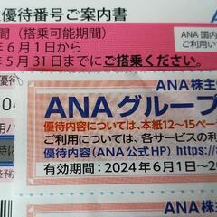 おまけ追加 ANA ✈来春期限 2枚株主優待