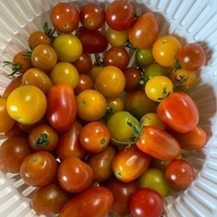 取り引き中)夏野菜
