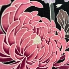大人浴衣　　　　　シック　呉服　の画像