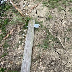 木製電柱の画像