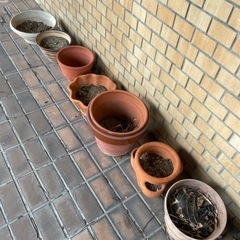 ガーデン用　鉢の画像