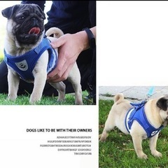【未使用品】ハーネス リード 2点セット 犬用 猫用 小型犬 中型犬 ペット用品 メッシュ 反射材付きブルーの画像