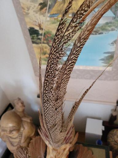 錦鶏鳥 剥製 (やみ) 郡山富田のインテリア雑貨/小物《置物、オブジェ