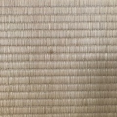 置き畳　56cm×89cmの画像