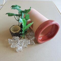 【終了】水槽小物セット