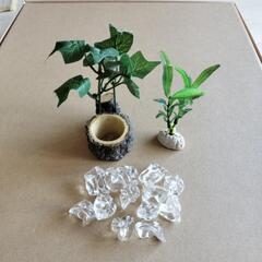 【終了】水槽小物セットの画像