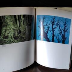 東山魁夷展の画像