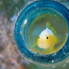 🌼７月末まで大募集🌼　　１日でもOK❗❗短期バイトOK❗❗この日...