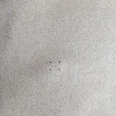 ムートンコート　マタニティの画像