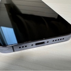 【説明文必読】iPhone13Proの画像