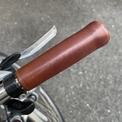 お値下げ❗️LOUIS  GARNEAU  TR-1（used）の画像