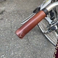 お値下げ❗️LOUIS  GARNEAU  TR-1（used）の画像