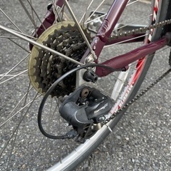 お値下げ❗️LOUIS  GARNEAU  TR-1（used）の画像