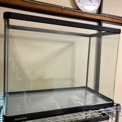 【受け渡し決定】60センチ曲げガラス水槽ハイタイプセットの画像