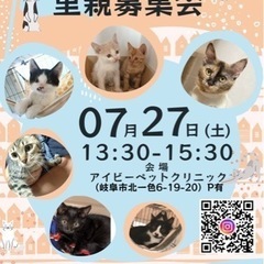 【岐阜市】猫の里親募集会