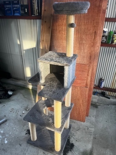 キャットタワー