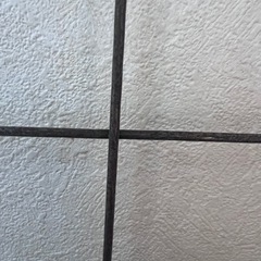 【取引中】ワイヤーメッシュの画像