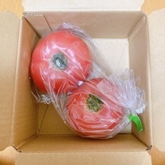 【決まりました】トマトなどのお野菜お譲りいたします。