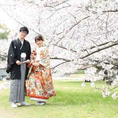 花嫁、留袖、訪問着、振袖着付け、自宅や会場への出張着付け伺います...