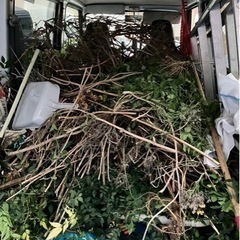 【夏季御依頼多数】草むしり・草刈り・剪定