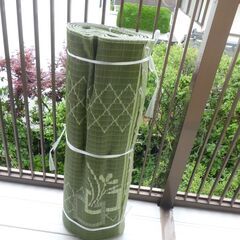 ござ（小ぎれい）～8帖の画像