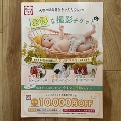 スタジオマリオ クーポン券