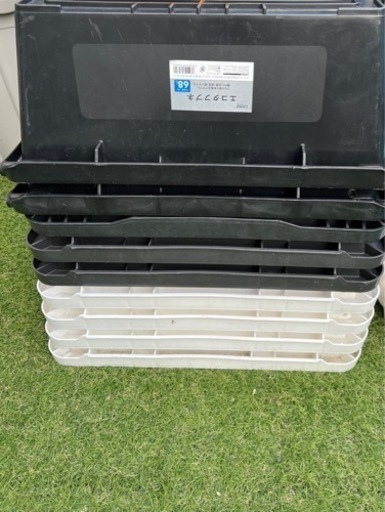 中型ガラスケージ 爬虫類用 自然レイアウト