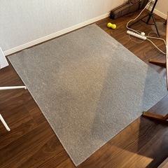 カーペット 譲ります　グレー 140x150cm　　