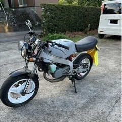 NSR50
