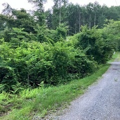 長野県長野市大字上ヶ屋の不要土地あげます − 兵庫県