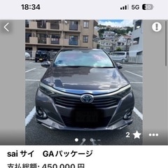 sai サイ　GAパッケージの画像