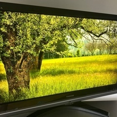 REGZA テレビ