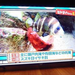 ハイセンス 40型液晶テレビ 40A30H 2022年　美品