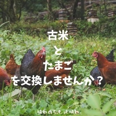 【古米ください！】古米と卵を交換しませんか？蔵に古米は眠っていま...