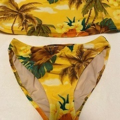 水着　　女性のみ取引きの画像