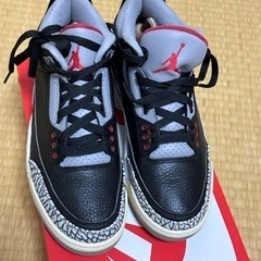 Jordan3
の画像