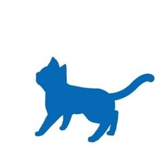 ウクレレ練習会