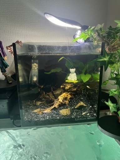 水槽セット